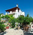 agetn_photo